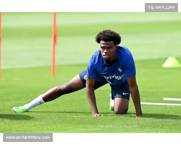 切尔西冬窗瞄准德甲中场新星，球员解约金条款将于明夏生效